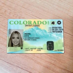 Fake Colorado driver license template