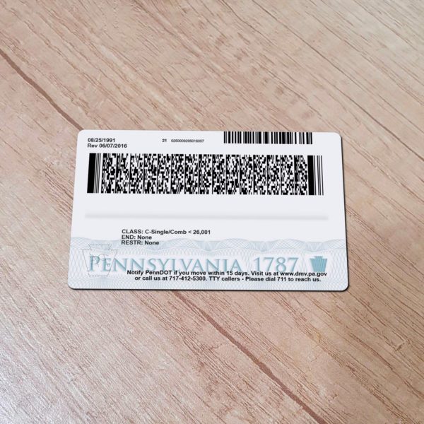 Pennsylvania Driver License template back side