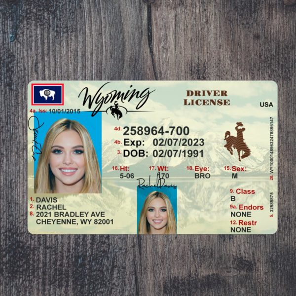 Fake Wyoming driver license template