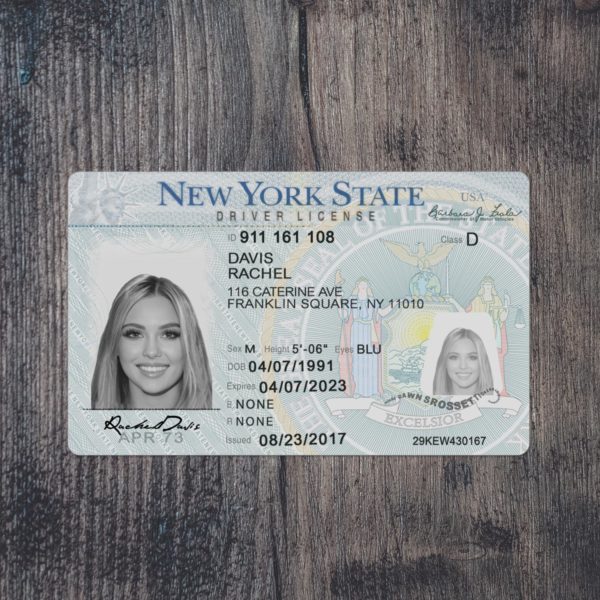 Fake New York driver license template