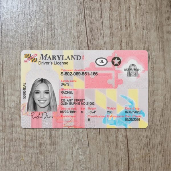 Fake Maryland driver license template