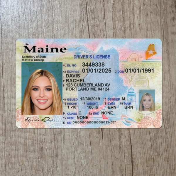 Maine driver license template PSD