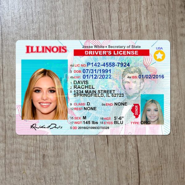 Fake Illinois driver license template