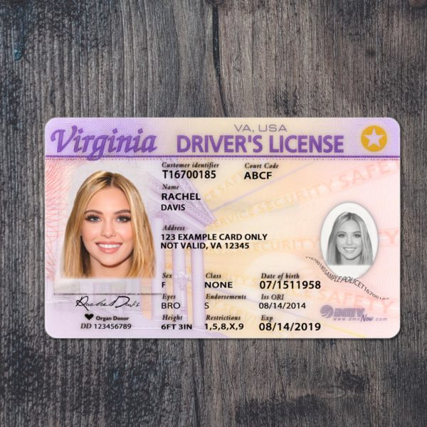 Fake Virginia driver license template