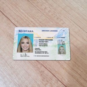 Montana Driver License template