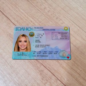 Idaho Driver License template