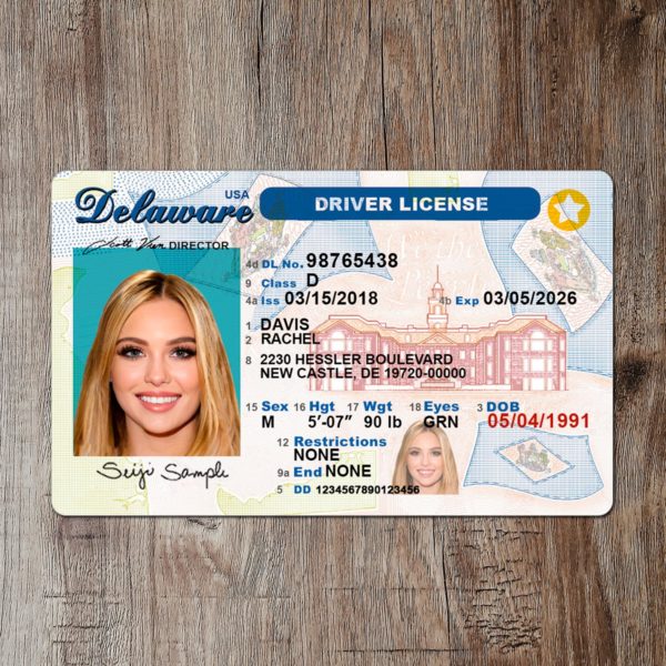 Fake Delaware driver license template