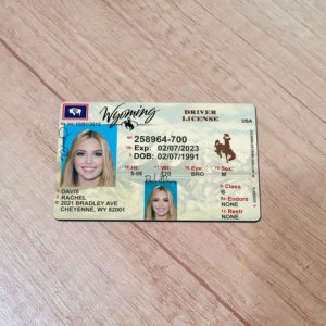 Wyoming Driver License template