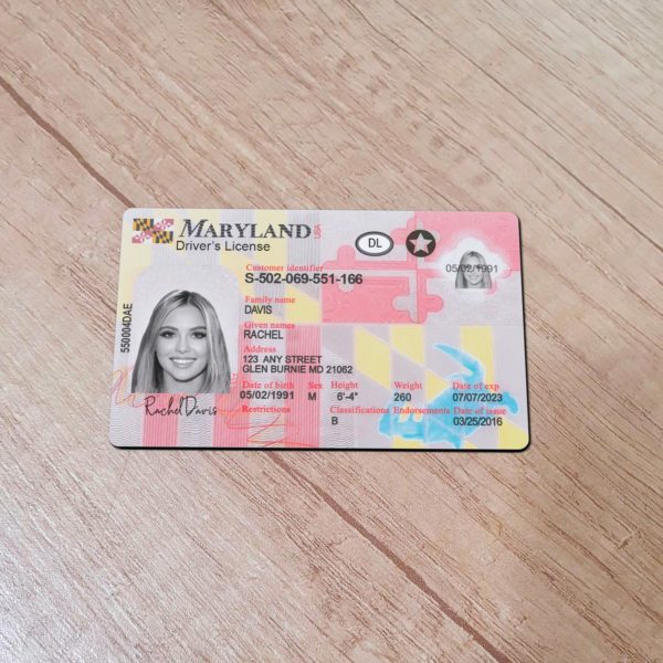Maryland Driver License template
