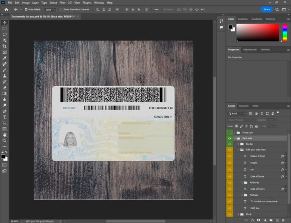 New York driver license template back side PSD