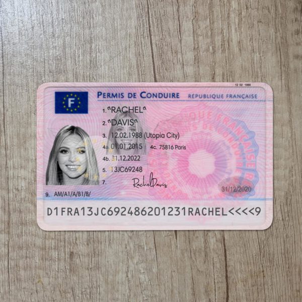 Fake France driver license template