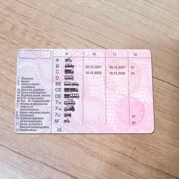 Bulgaria Driver License template back side