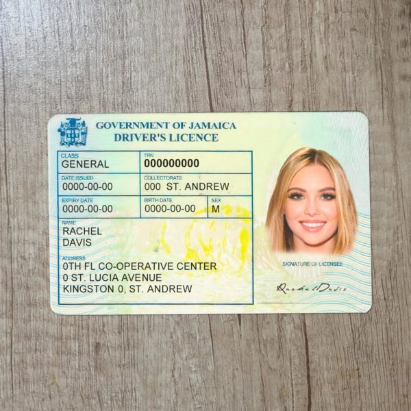 Fake Jamaica driver license template