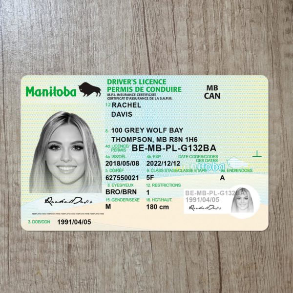 Fake Canada Manitoba driver license template
