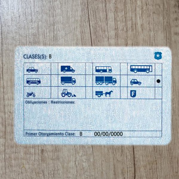 Fake Chile driver license template