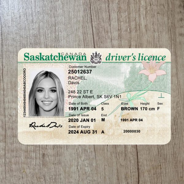Fake Canada Saskatchewan driver license template
