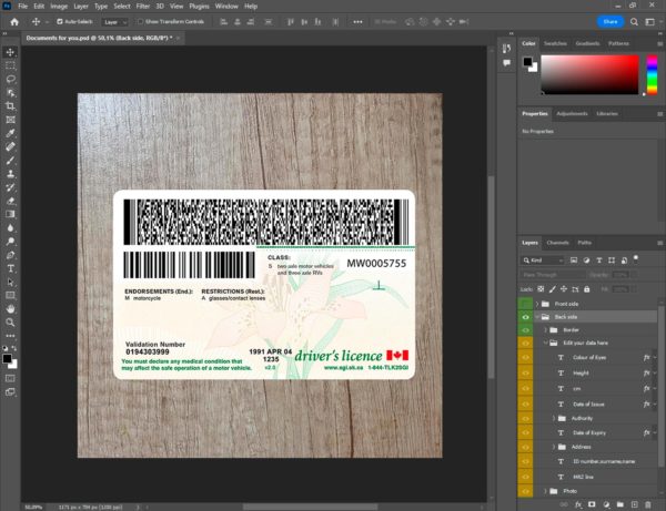 Canada Saskatchewan driver license template back side PSD